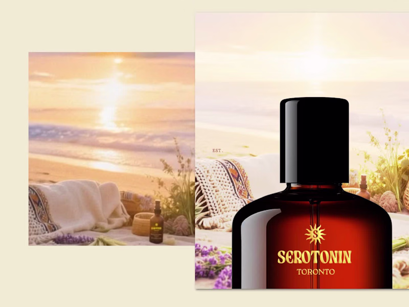 Cover image for Serotonin Toronto | Logo & Brand Identity Development