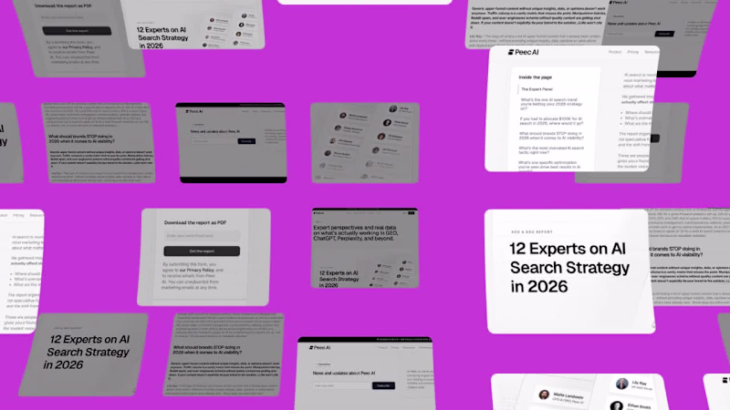Cover image for Long-form expert report page on
