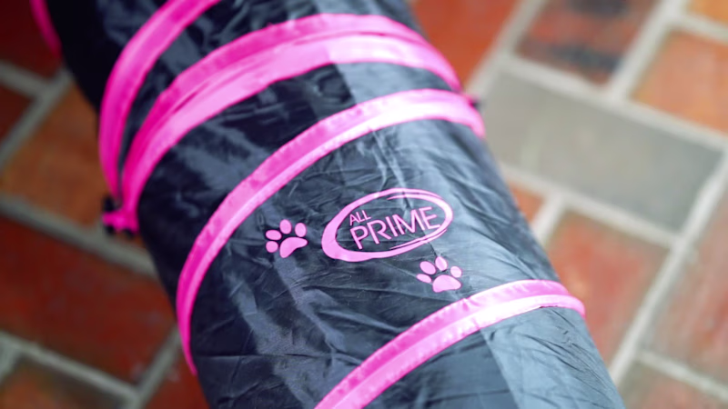Cover image for Cat Tunnel - Product Demo