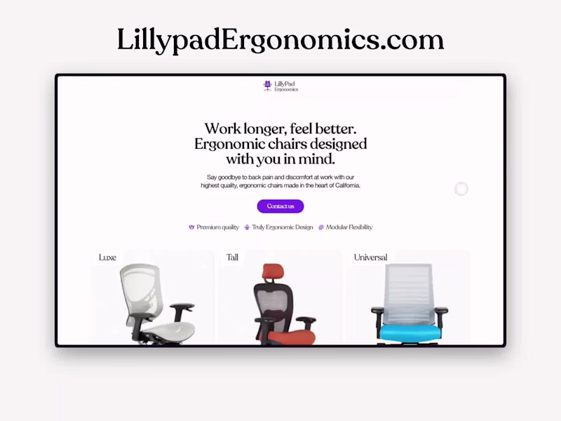 Cover image for LillyPad Ergonomics - Furniture site design & development