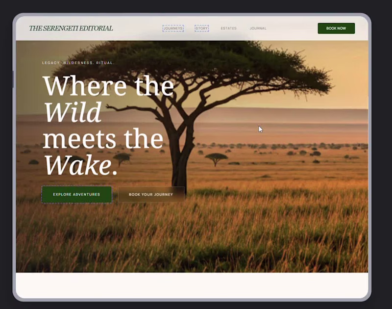 Cover image for Do you like websites that