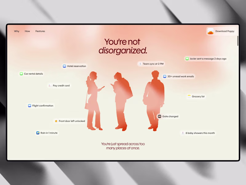 Cover image for Video with transparent background +
