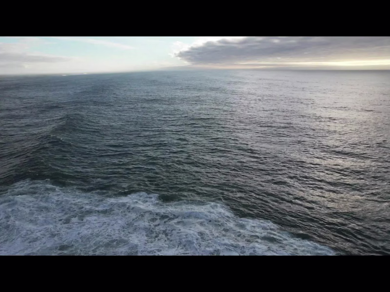 Cover image for The Ultimate Killing Machine Megalodon - Full Documentary Yo...
