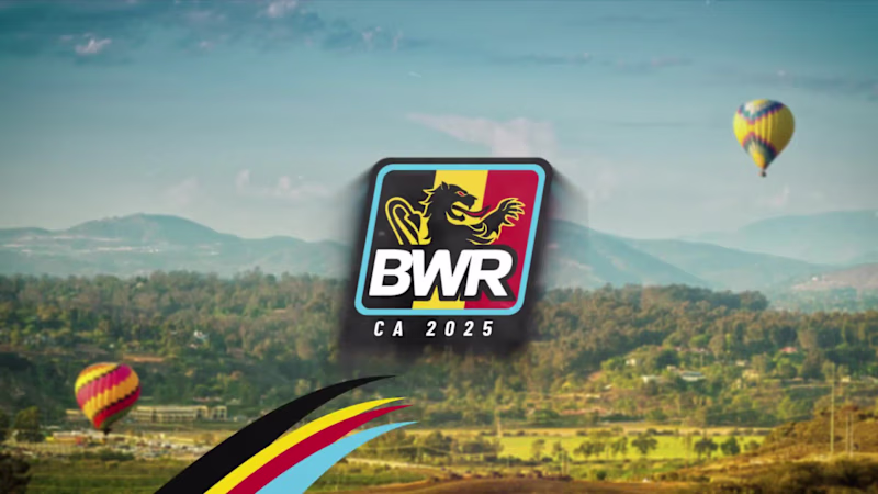 Cover image for BWR