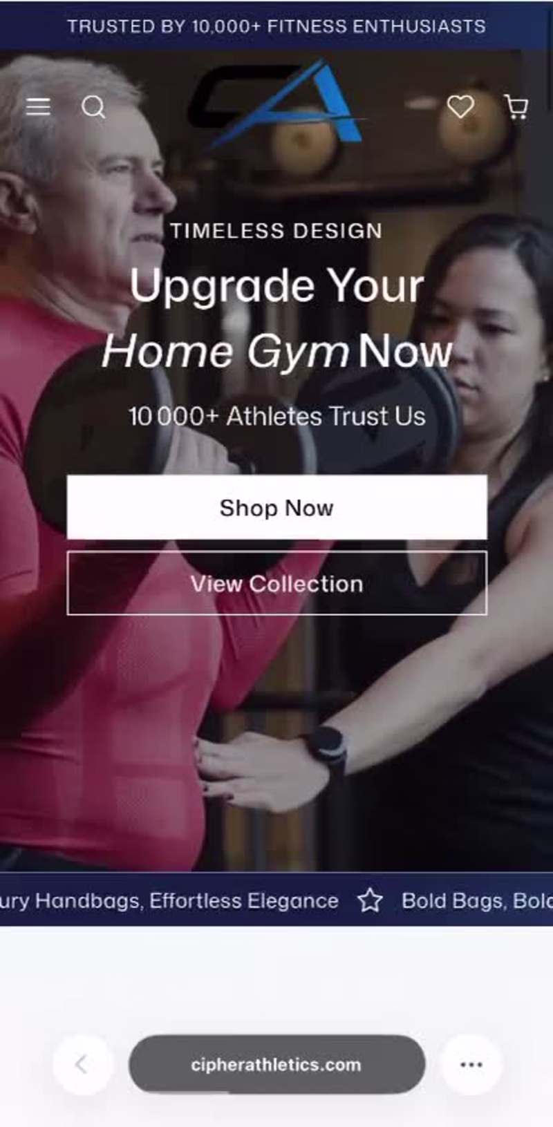 Cover image for Shopify Ecommerce Store Design &