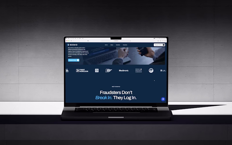 Cover image for Frames from the BoomID web