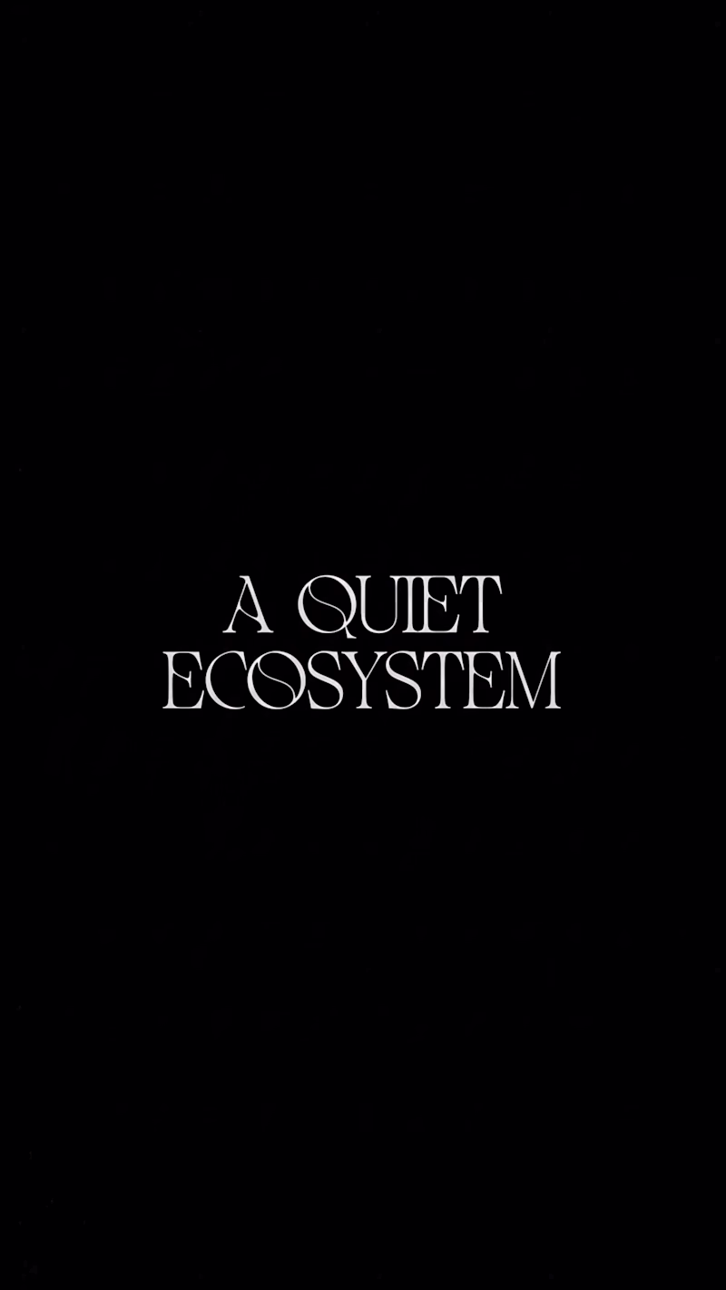 Cover image for A Quiet Ecosystem is a