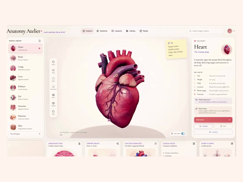 Cover image for Anatomy Atelier: 3D Anatomy Learning in the Browser
