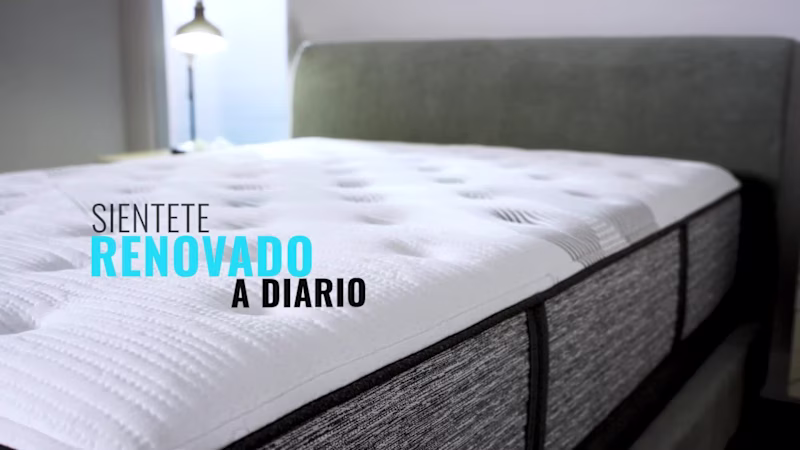 Cover image for Simons