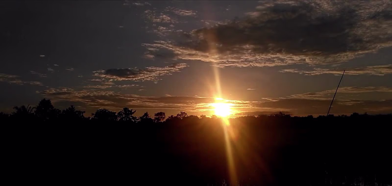 Cover image for Green Roots Golden Future Documentary Editing