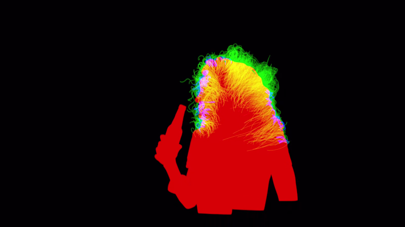Cover image for detailed Hair Roto