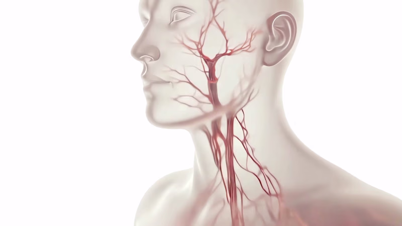 Cover image for Educational video made for a
