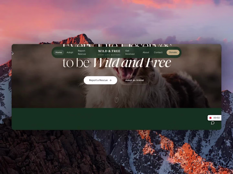 Cover image for Rebuilding an Animal Shelter's Entire Digital Operation