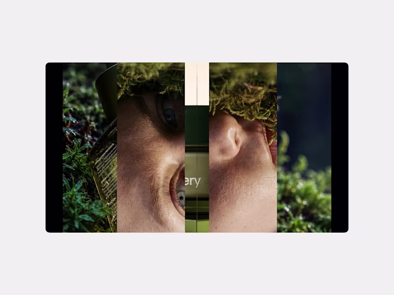 Cover image for A first glimpse of Senses,