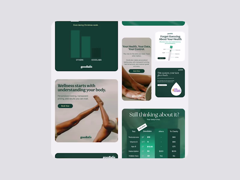 Cover image for Goodlabs | Full-Funnel Ad Strategy and Optimization