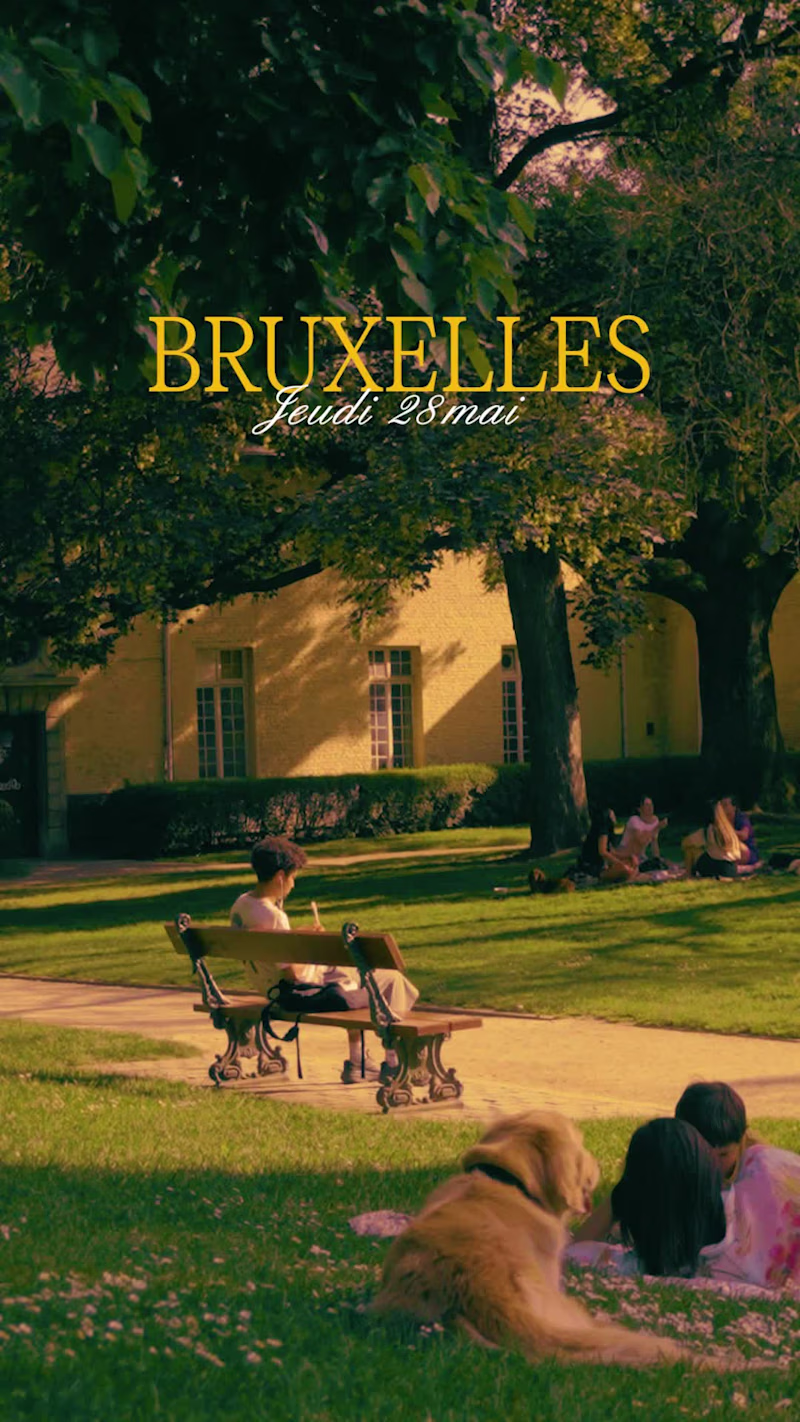 Cover image for Brussels. With friends.