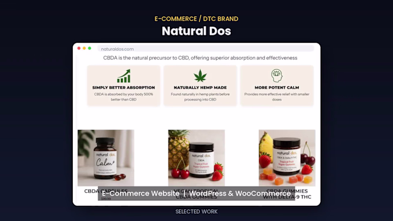 Cover image for WordPress Website Design & Development