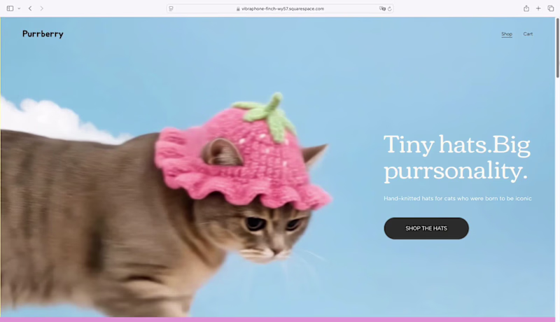 Cover image for I created Purrberry 🍓🐾 for