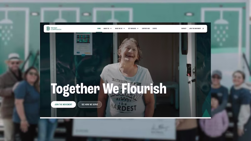 Cover image for  Long time no see