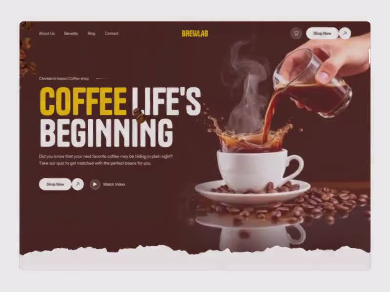 Cover image for BrewLab | Specialty Coffee Brand