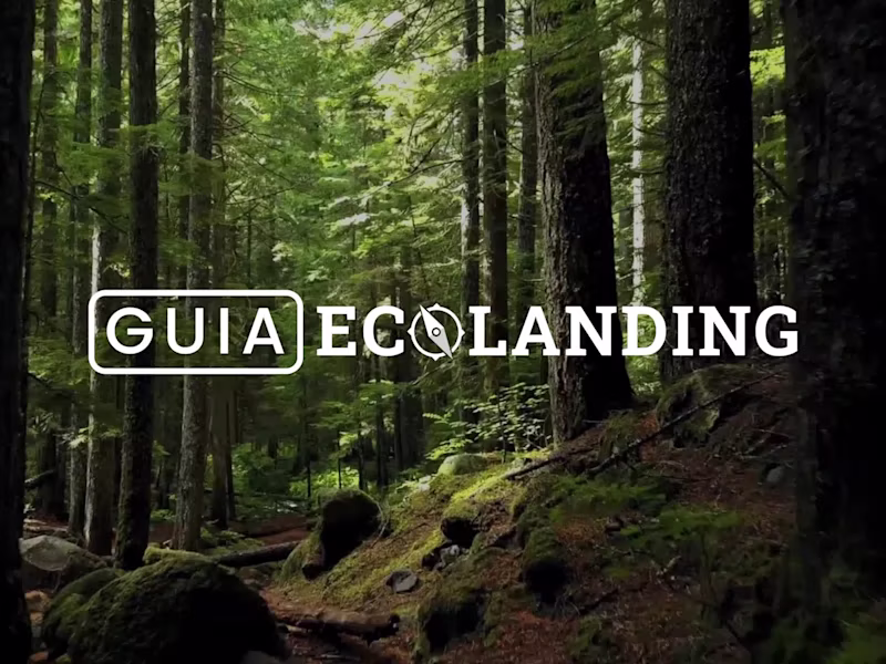 Cover image for Eco-Friendly Travel Platform Development