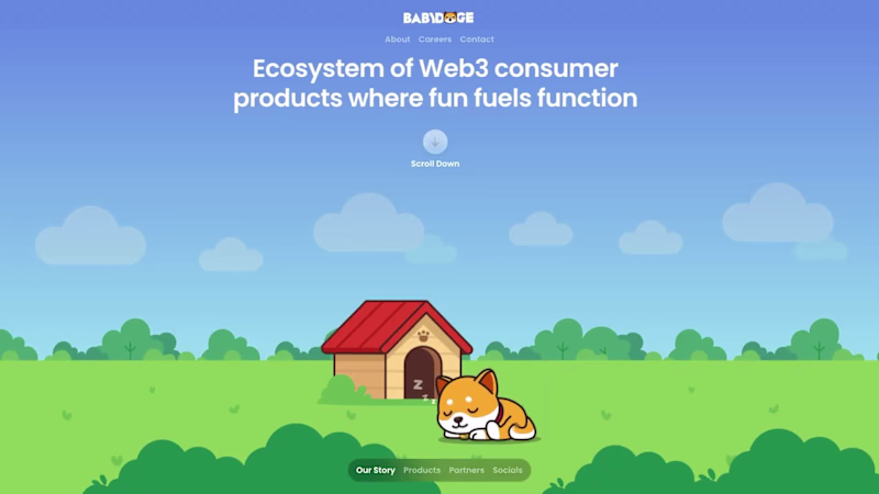 Cover image for Website Design for BabyDoge
