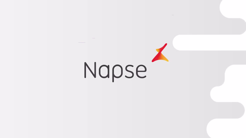 Cover image for Explainer Videos for Napse