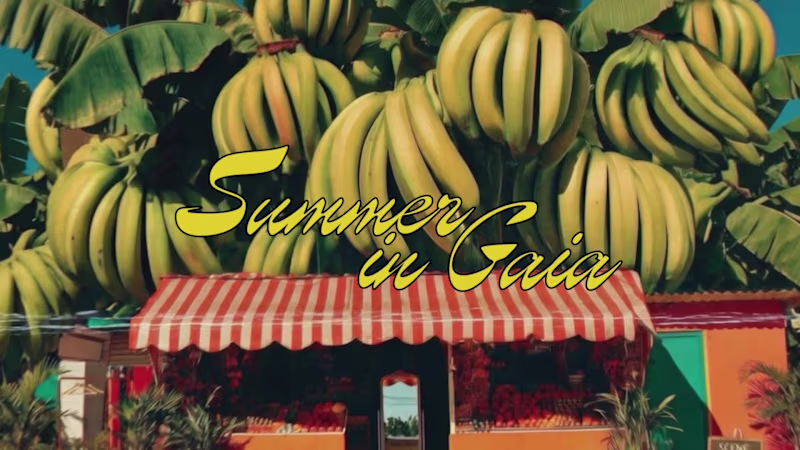 Cover image for My interpretation of a summer