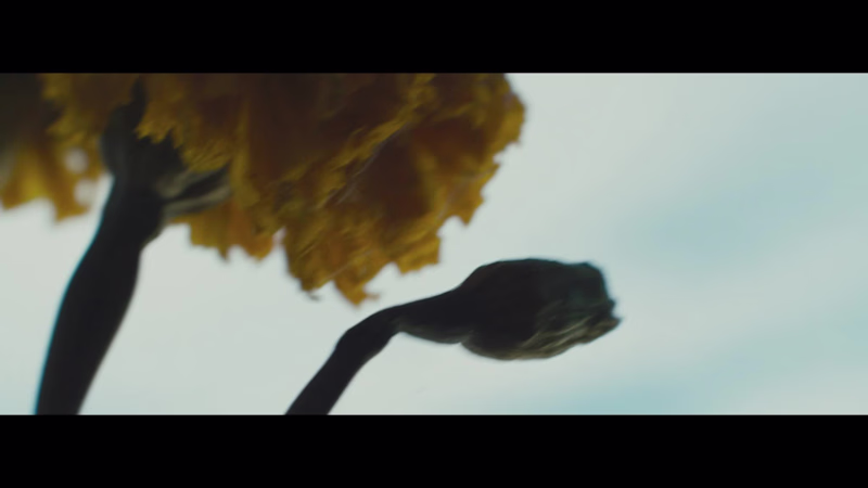 Cover image for Here's a music video I edited for the Chilean indie duo Mari...