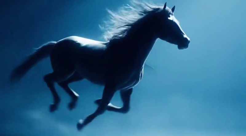 Cover image for Zo Computer Challenge is heating