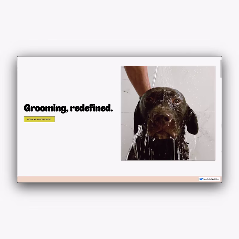 Cover image for Hello Glossy Paws! Glossy Paws is a friendly and trustworthy...