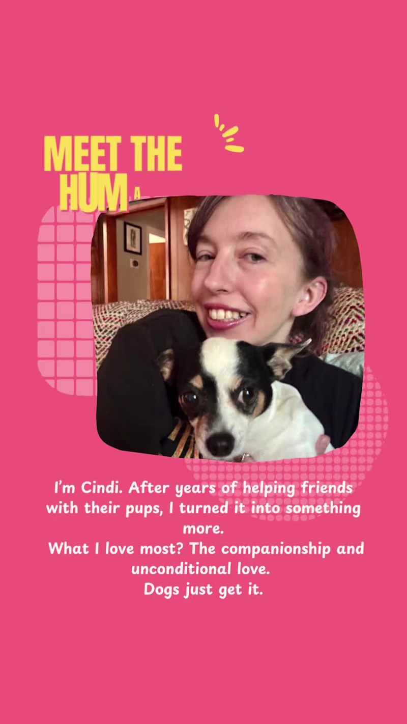 Cover image for Meet the Human Behind the Dog