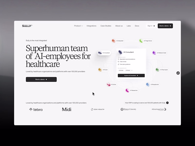 Cover image for Sully website experience