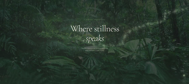 Cover image for I’m genuinely glad I had