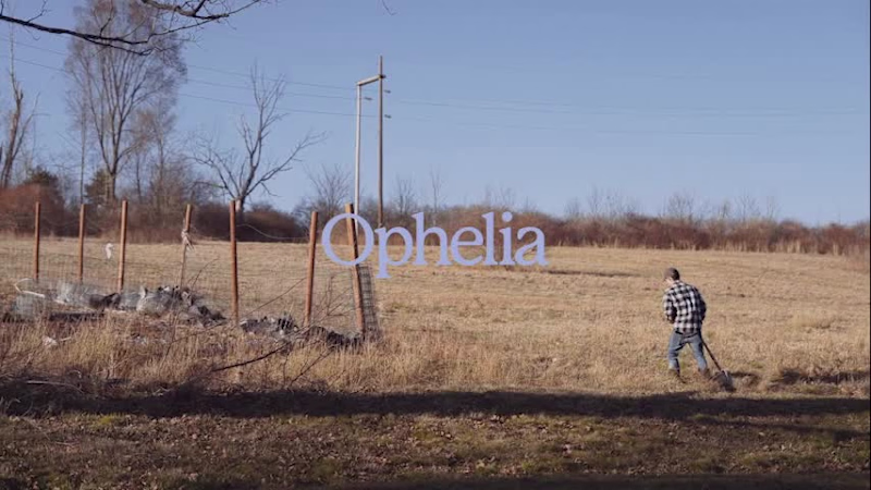 Cover image for Ophelia Health provides virtual medication-assisted