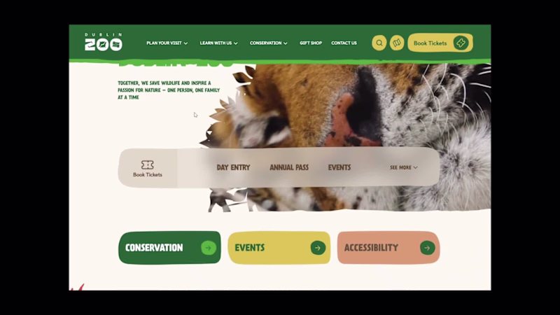 Cover image for New project launch! 🦁🐘✨
I recently