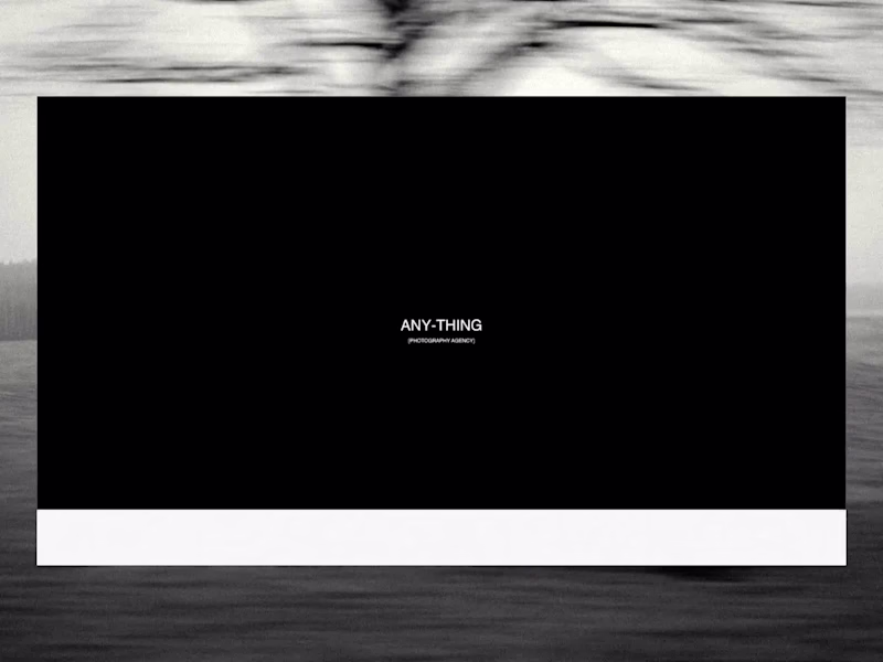 Cover image for Anything: Fashion Photography