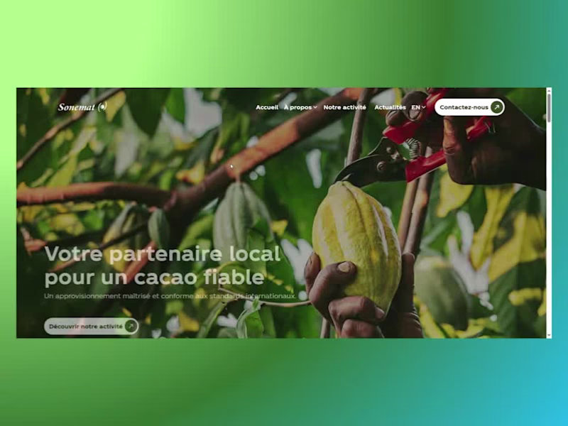 Cover image for Sonemat - Webflow Devlopement