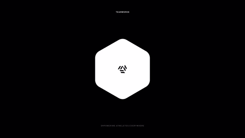 Cover image for logo stinger concept for teamworks