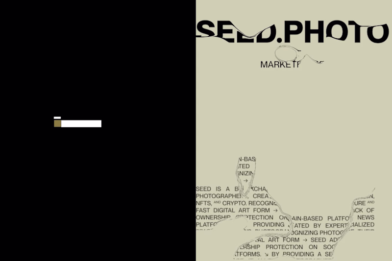 Cover image for Seed — Rebranding for the First NFT Photography Marketplace