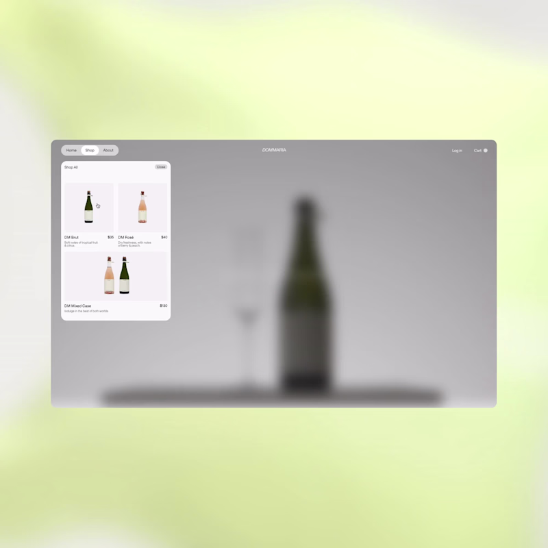 Cover image for Dom Maria Brand and E-commerce Development