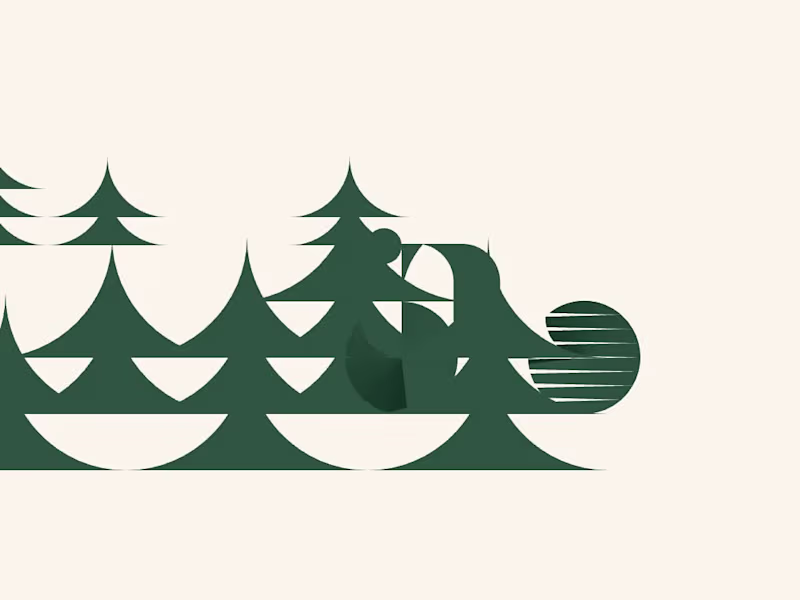 Cover image for What's out there?
Brand identity for