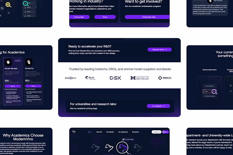 Cover image for ModernVivo Website Design and Development