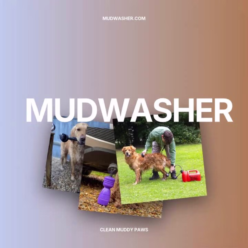 Cover image for Mudwasher WooCommerce Store Design and Development