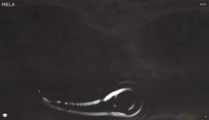 Cover image for Development for Riela Bathhouse