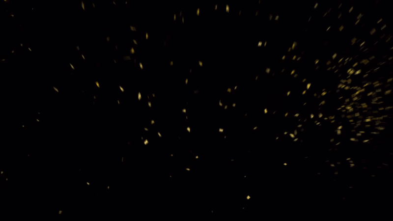 Cover image for A luxury-style logo reveal for