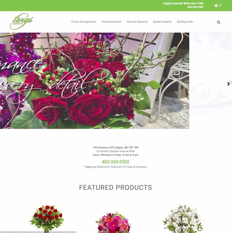 Cover image for Twigs Website (Webflow E-commerce)
I designed