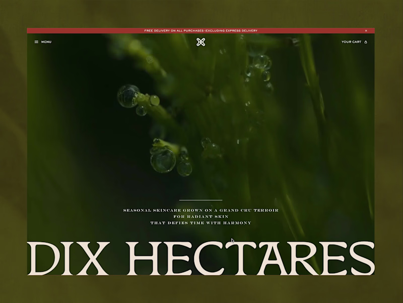 Cover image for Dix Hectares Website Design
