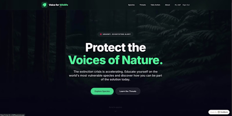 Cover image for This is Voice for Wildlife because most of us don’t know whi...