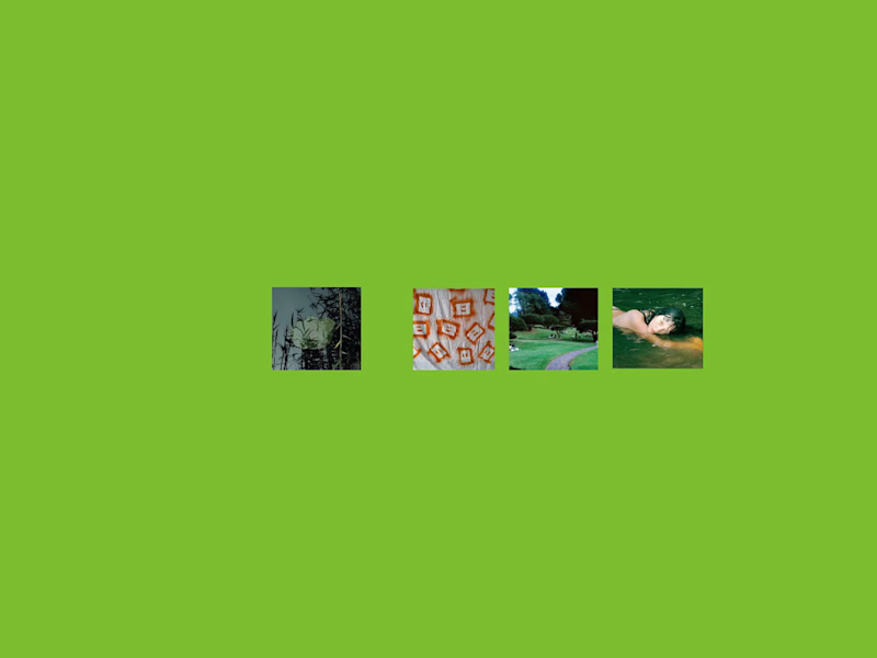 Cover image for Sofia Grimoldi — Portfolio